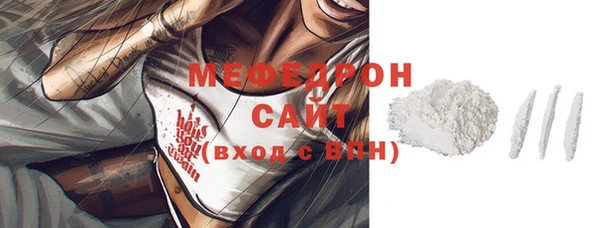 индика Гусев