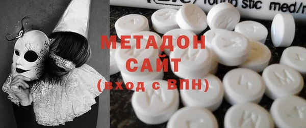 индика Гусев