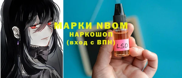 индика Гусев