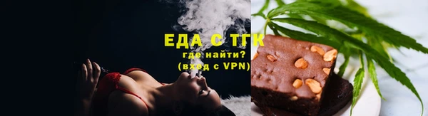 индика Гусев