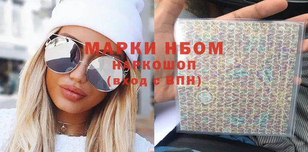 индика Гусев