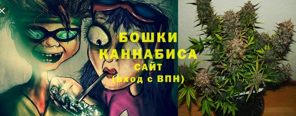 гидропоника Гусь-Хрустальный