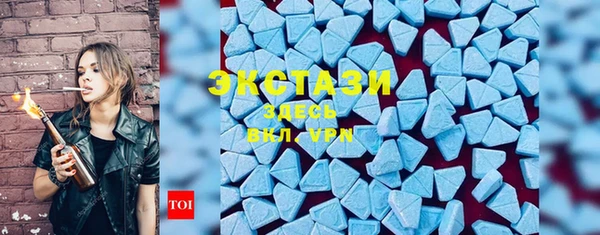 индика Гусев