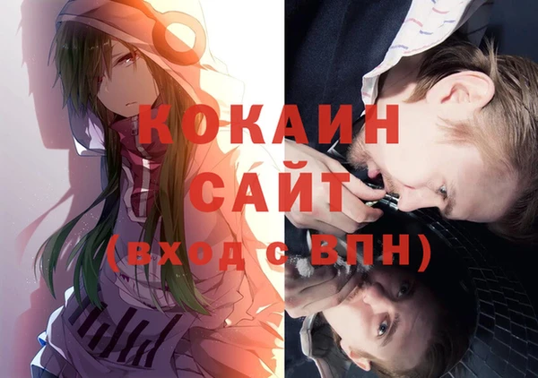 индика Гусев