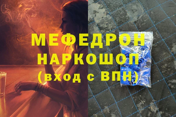 индика Гусев