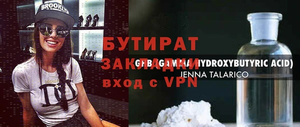 индика Гусев